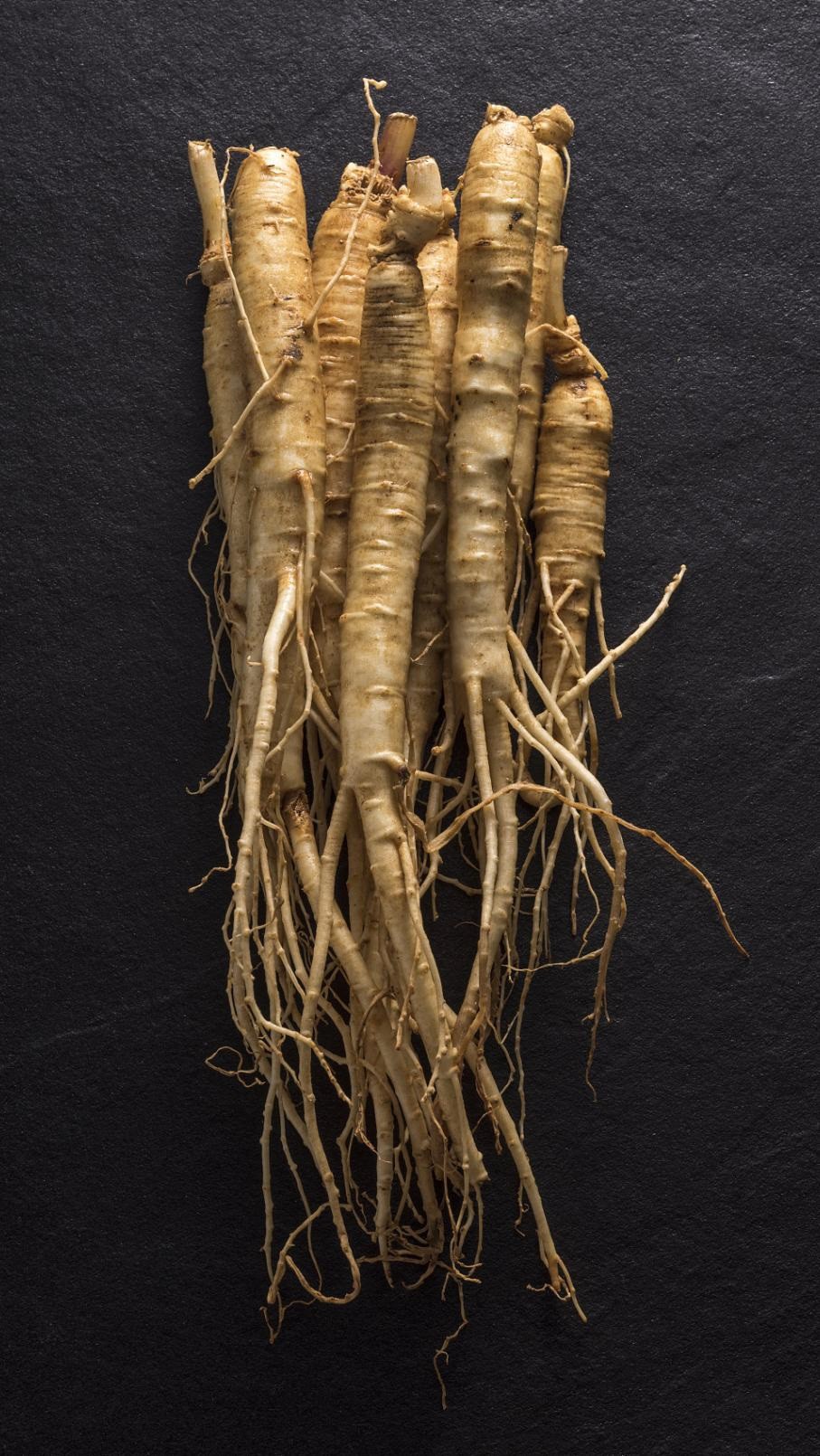 American Ginseng PDRN,西洋蔘 PDRN